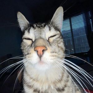 Meet your Posher, Giselle